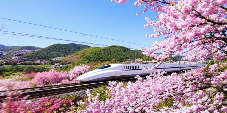 3N Tokyo & 3N Osaka