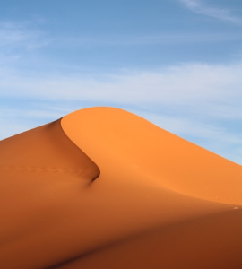 Desert Dreams