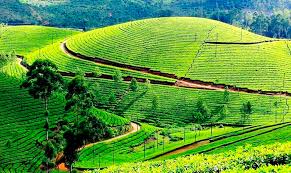 Essence of Kerala 4 Nights 5 Days